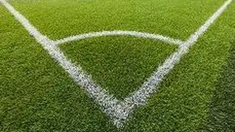 WNBA公布复赛方案：球员将全额获得年薪