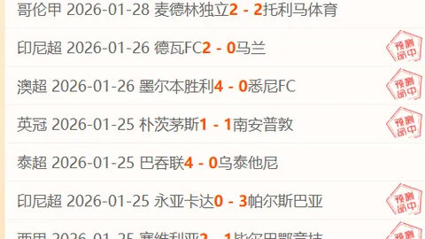 [德甲焦点]勒沃库森客场击败不来梅夺冠
